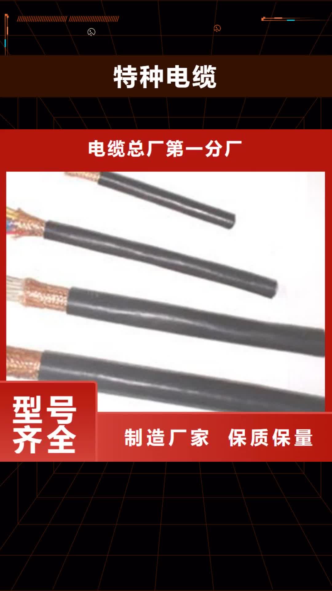 【抚顺 特种电缆 通信电缆多种场景适用】