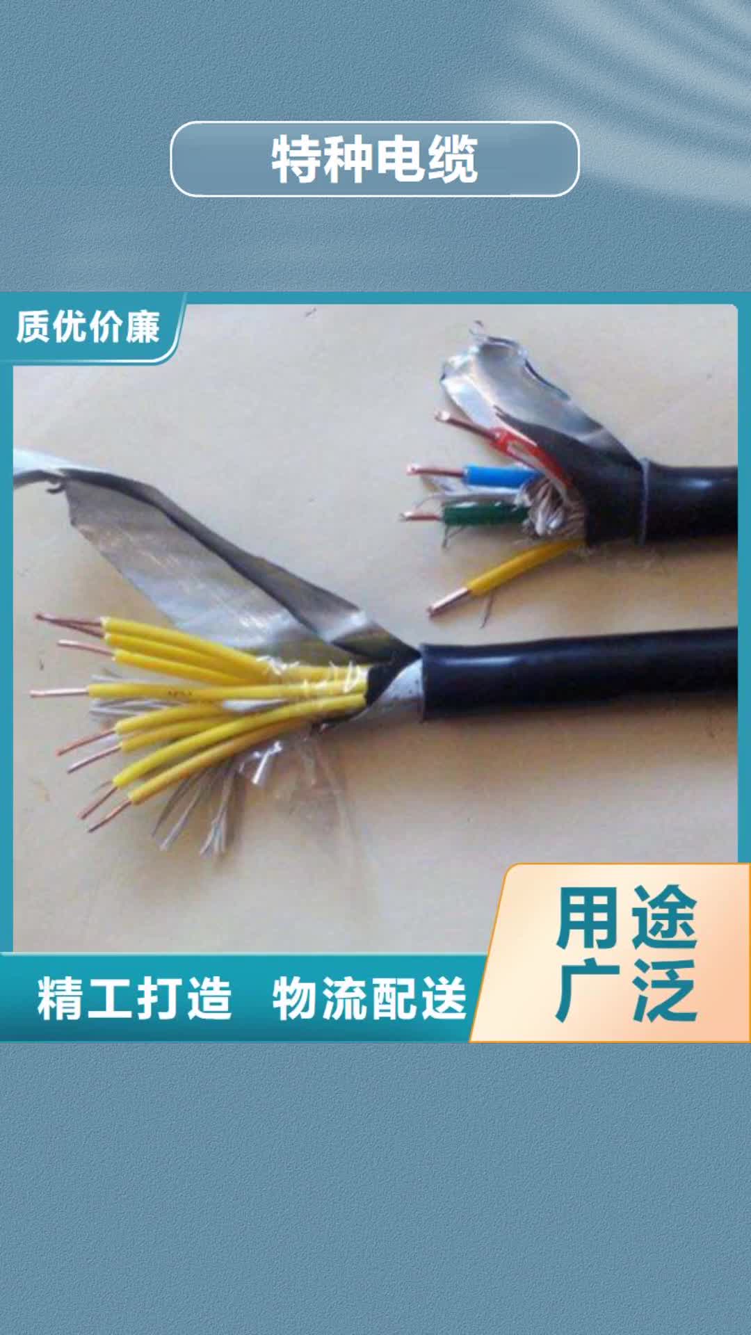 山南 特种电缆【通信电缆】产地源头好货