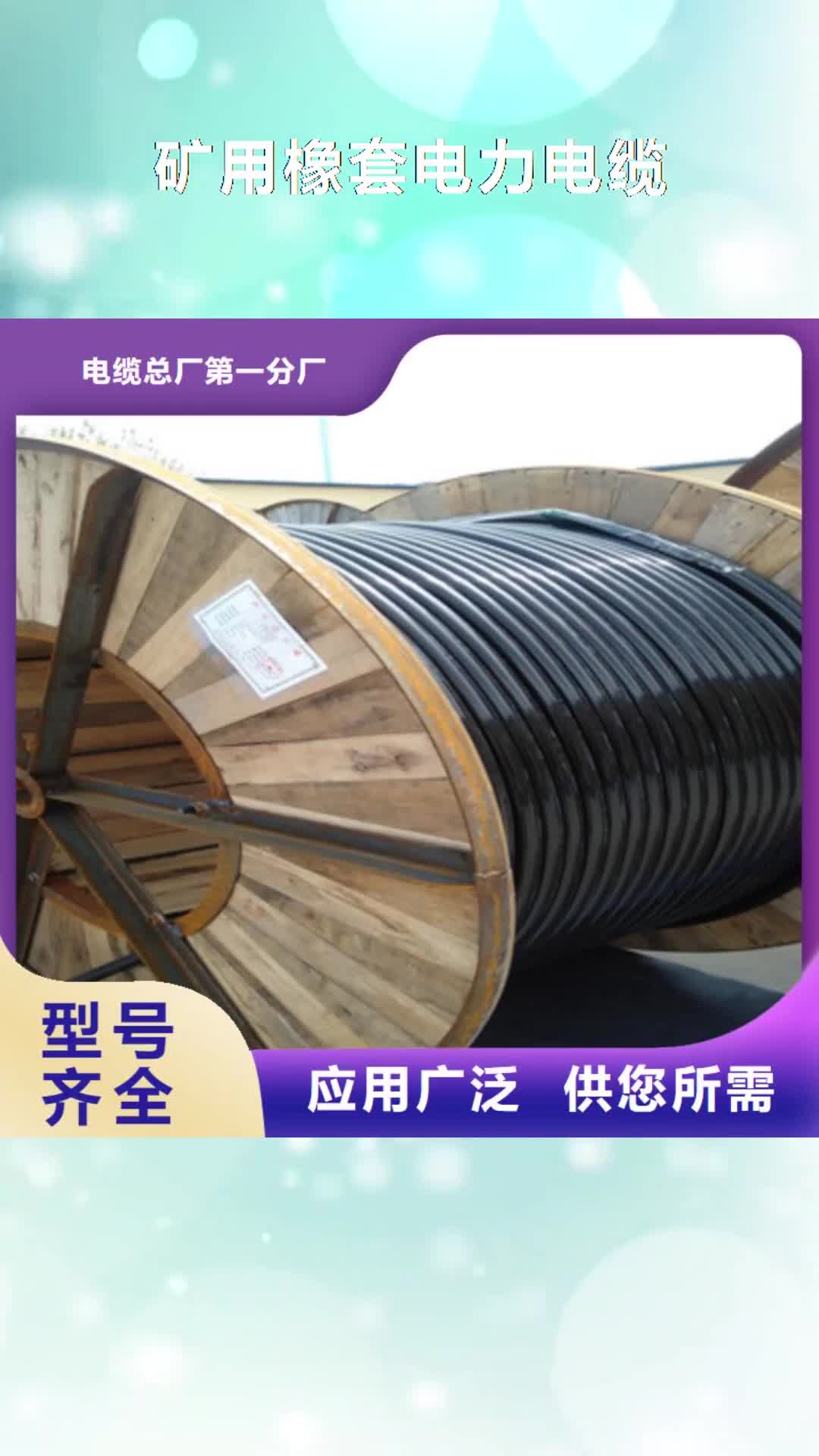 株洲【矿用橡套电力电缆】 屏蔽电缆专心专注专业
