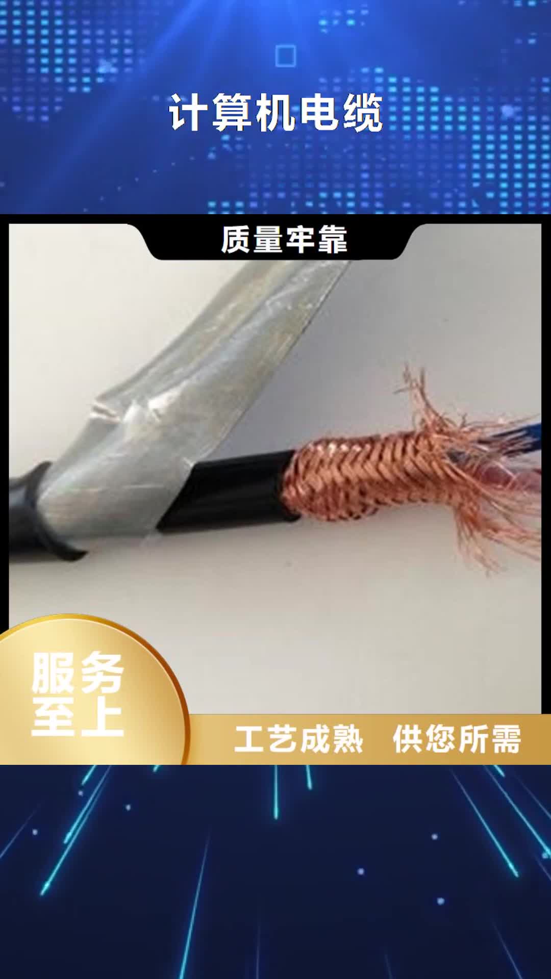 【黔西南 计算机电缆电缆生产厂家产地源头好货】