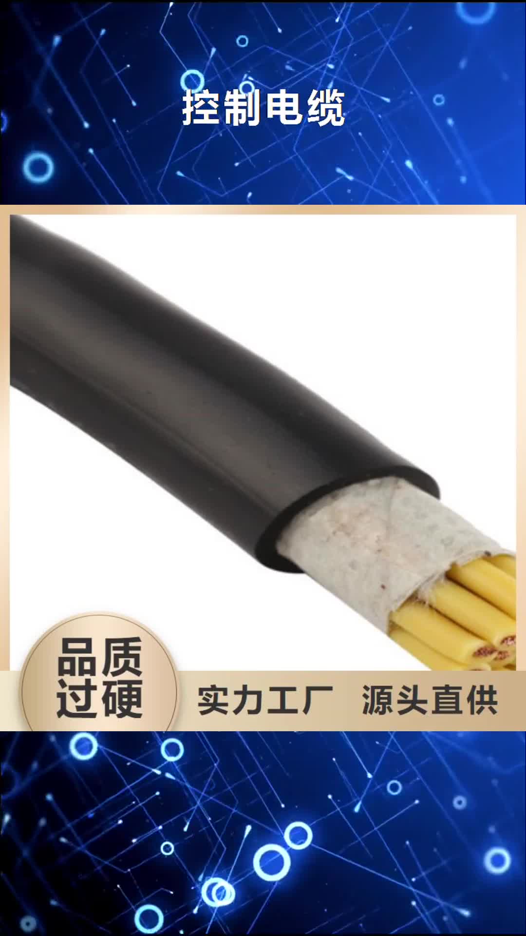 潮州 控制电缆批发货源