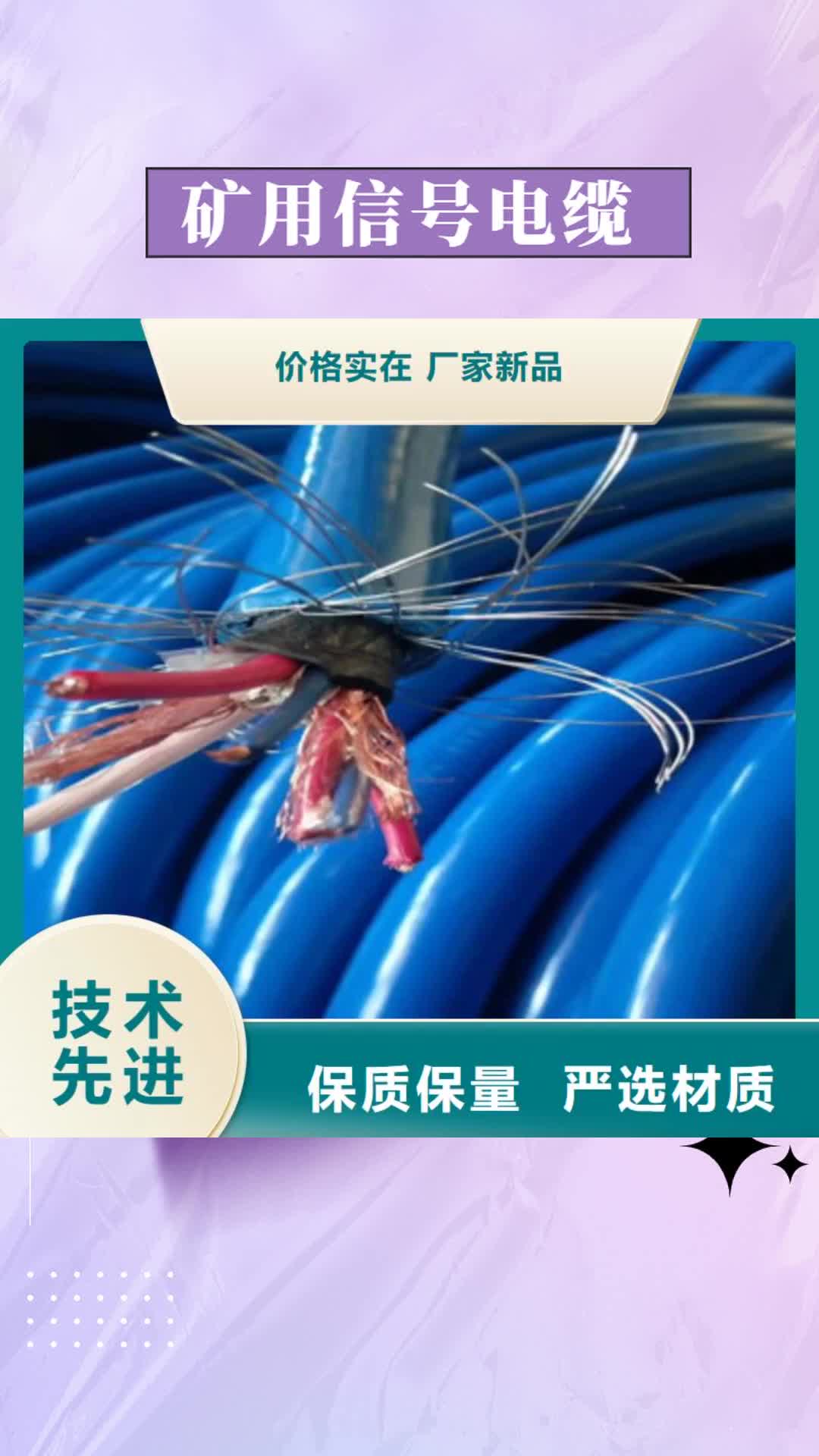 【滁州 矿用信号电缆_煤矿用阻燃通信电缆技术先进】