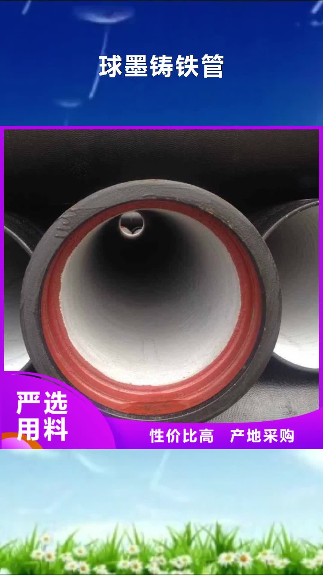【文山 球墨铸铁管柔性铸铁排水管厂家品质之选】