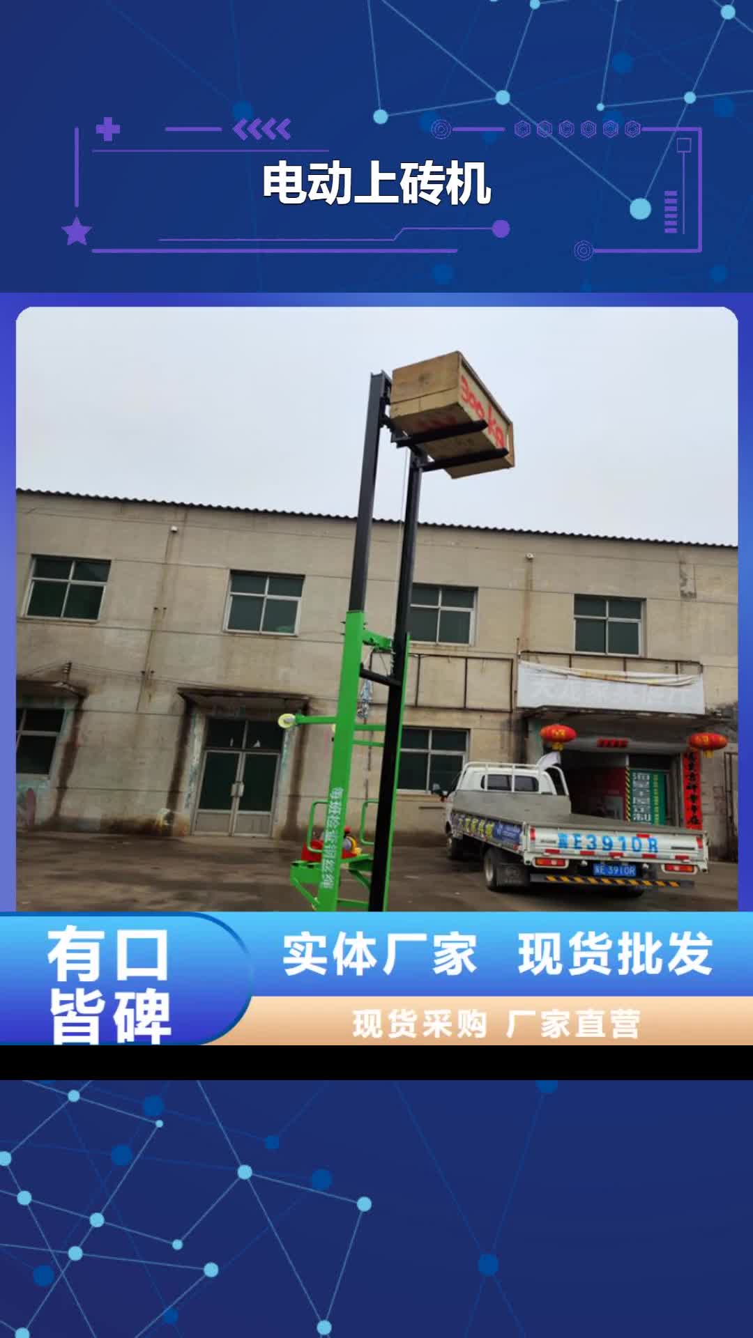 滨州 电动上砖机【混凝土输送泵】精工打造