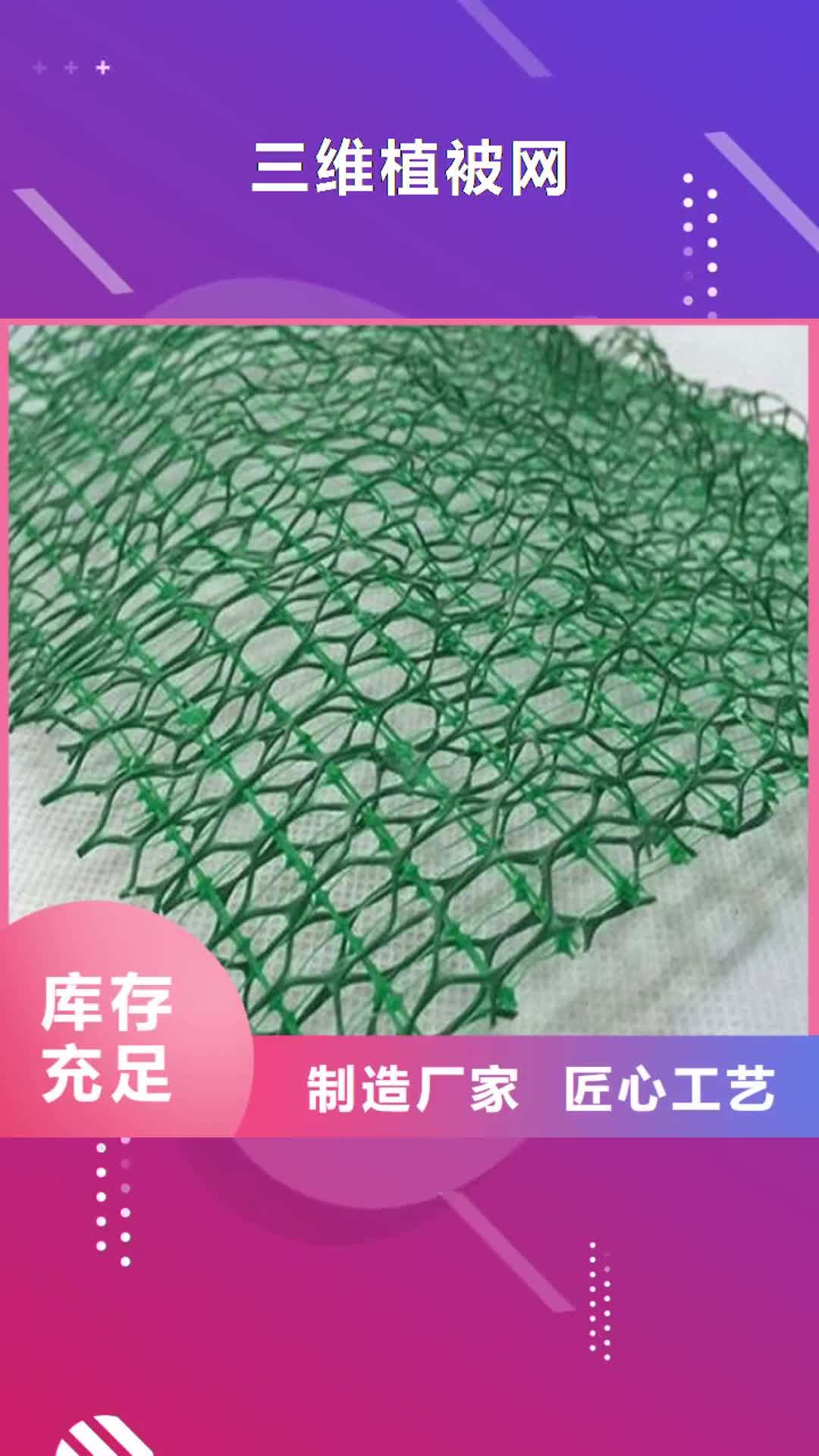 河南 三维植被网,【通风降噪丝网】我们更专业