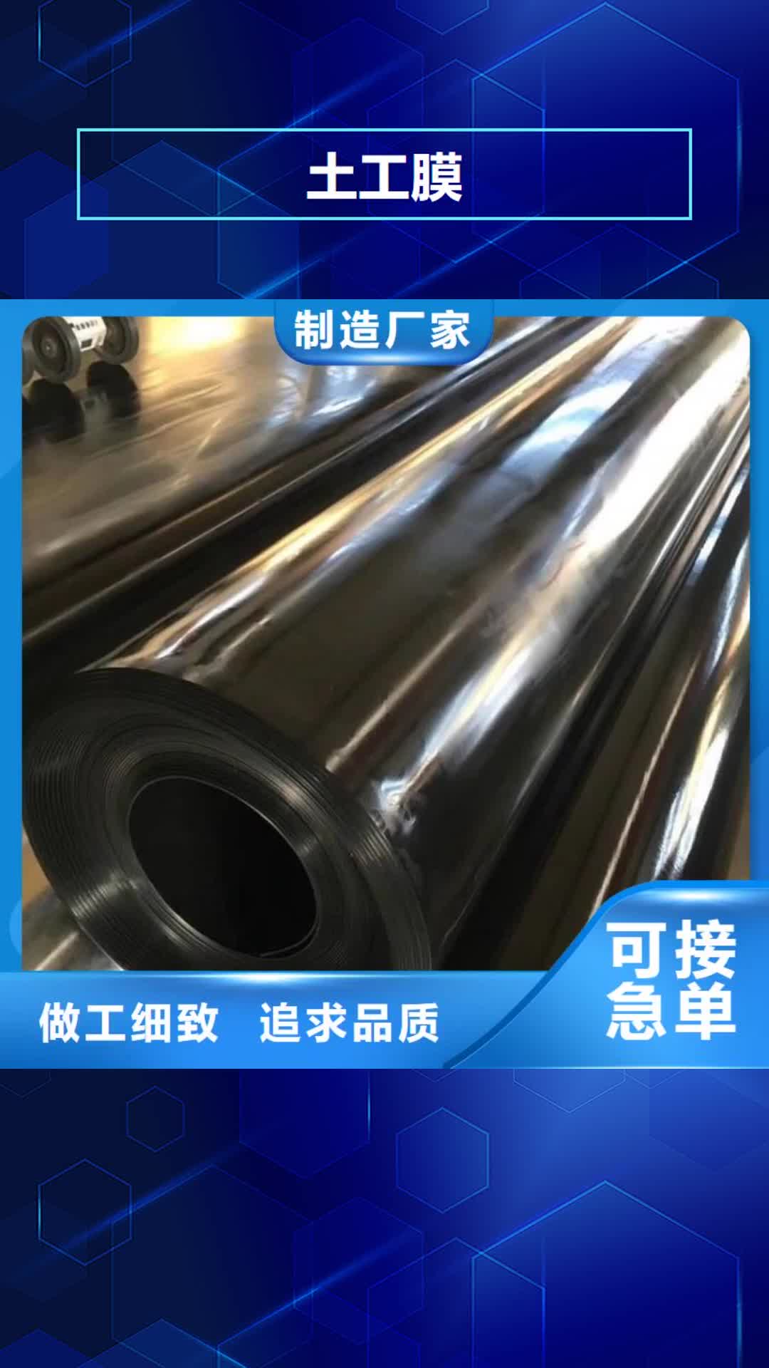 【亳州 土工膜-土工格栅实力大厂家】