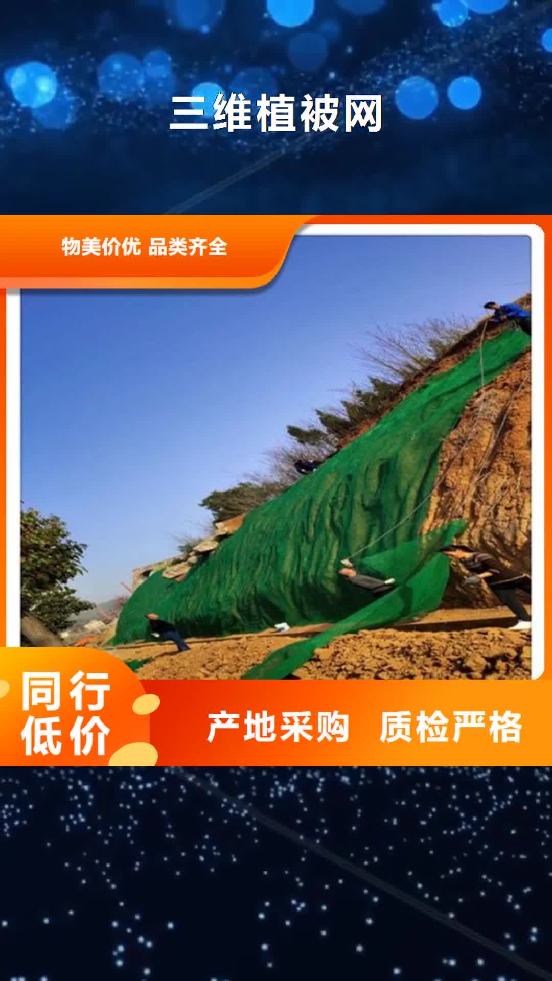 【靖江 三维植被网-植草格拒绝中间商】