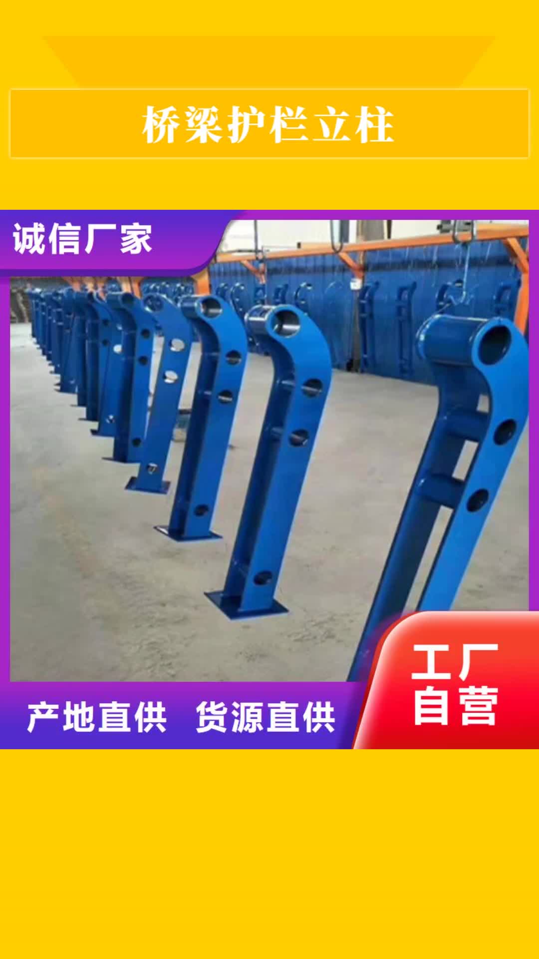 【丹东 桥梁护栏立柱,防撞护栏货源直供】