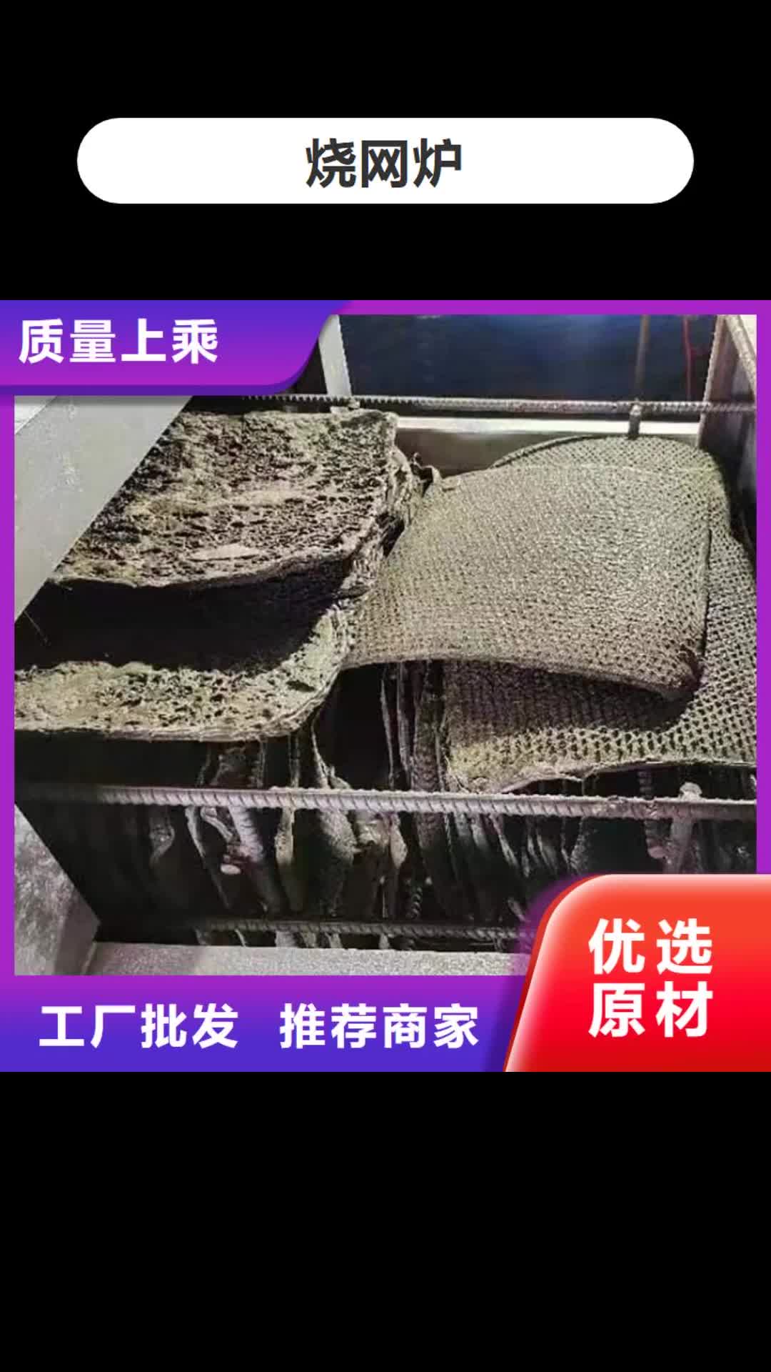 池州 烧网炉 【麻花机】货源直销
