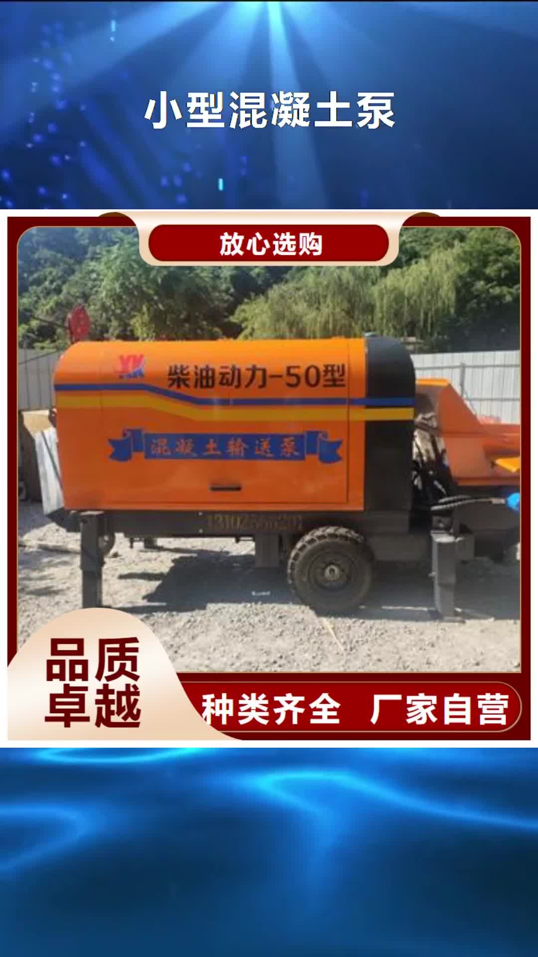 【上海 小型混凝土泵二次结构柱泵实力派厂家】