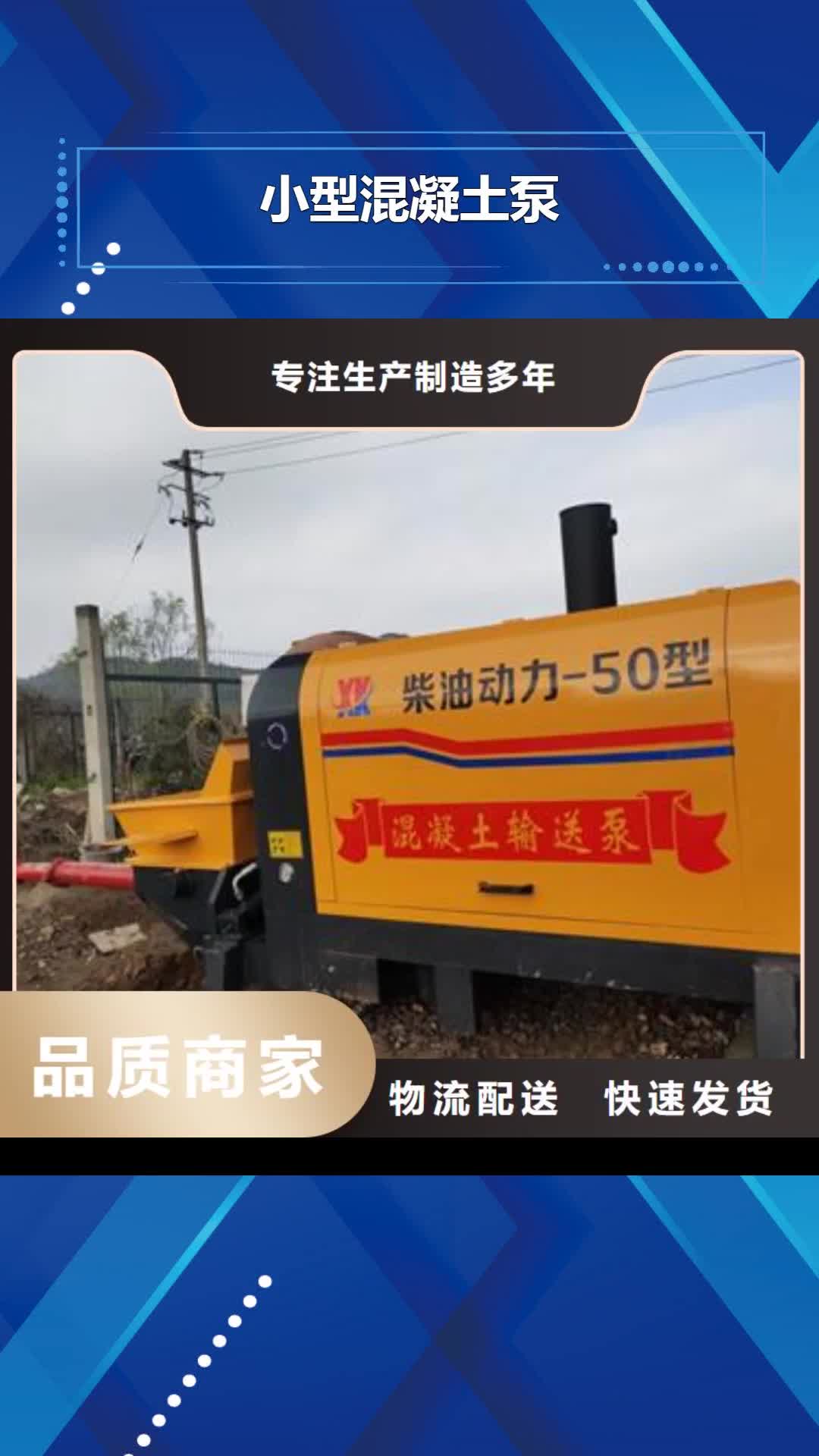 【石家庄 小型混凝土泵,二次构造柱泵甄选好厂家】
