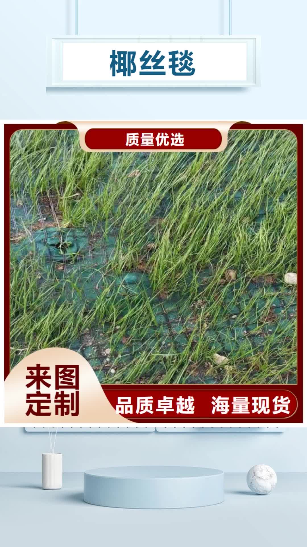 【平顶山 椰丝毯防渗膜多种款式可随心选择】
