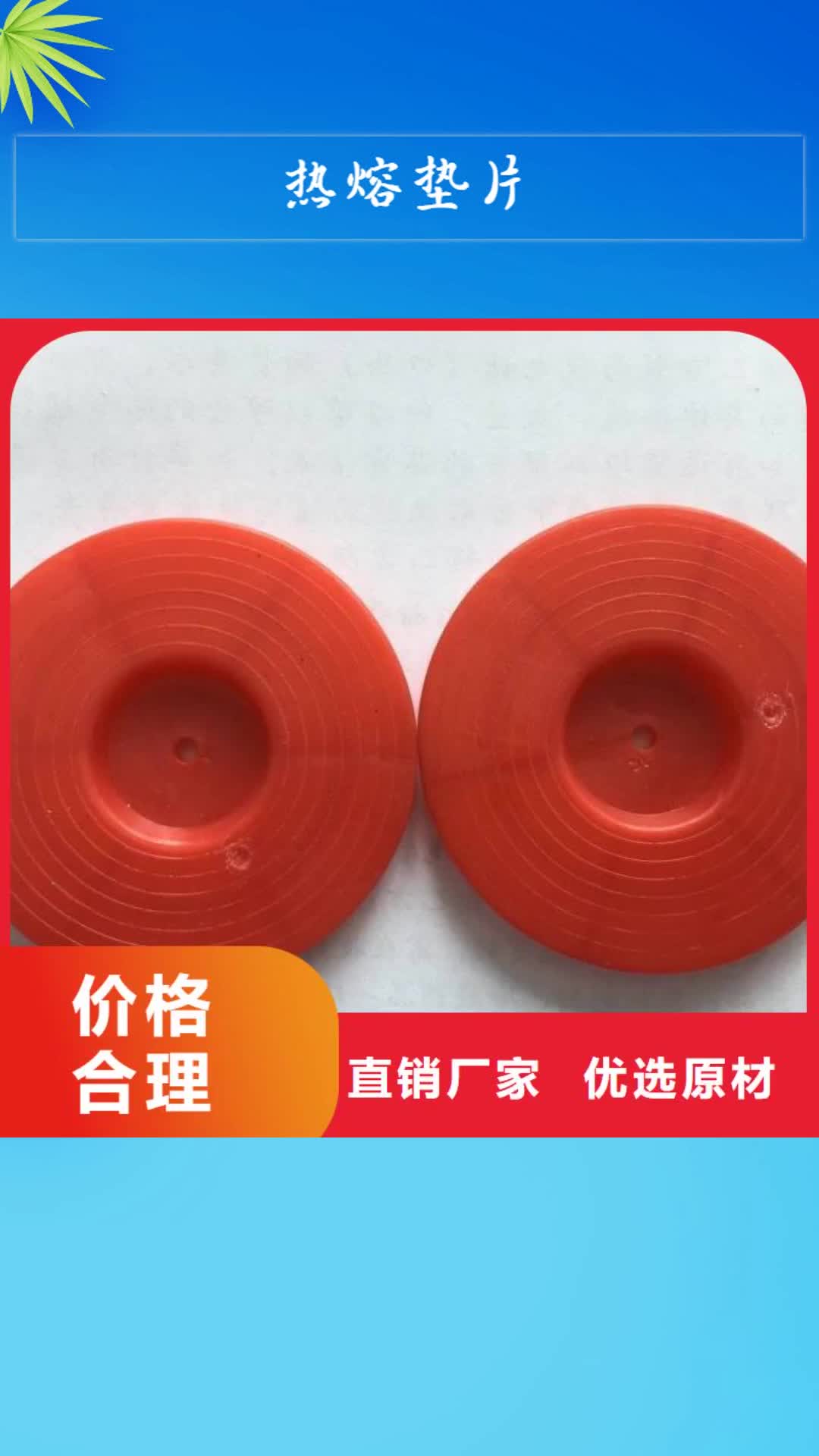 阿拉善【热熔垫片】-土工膜厂家自营
