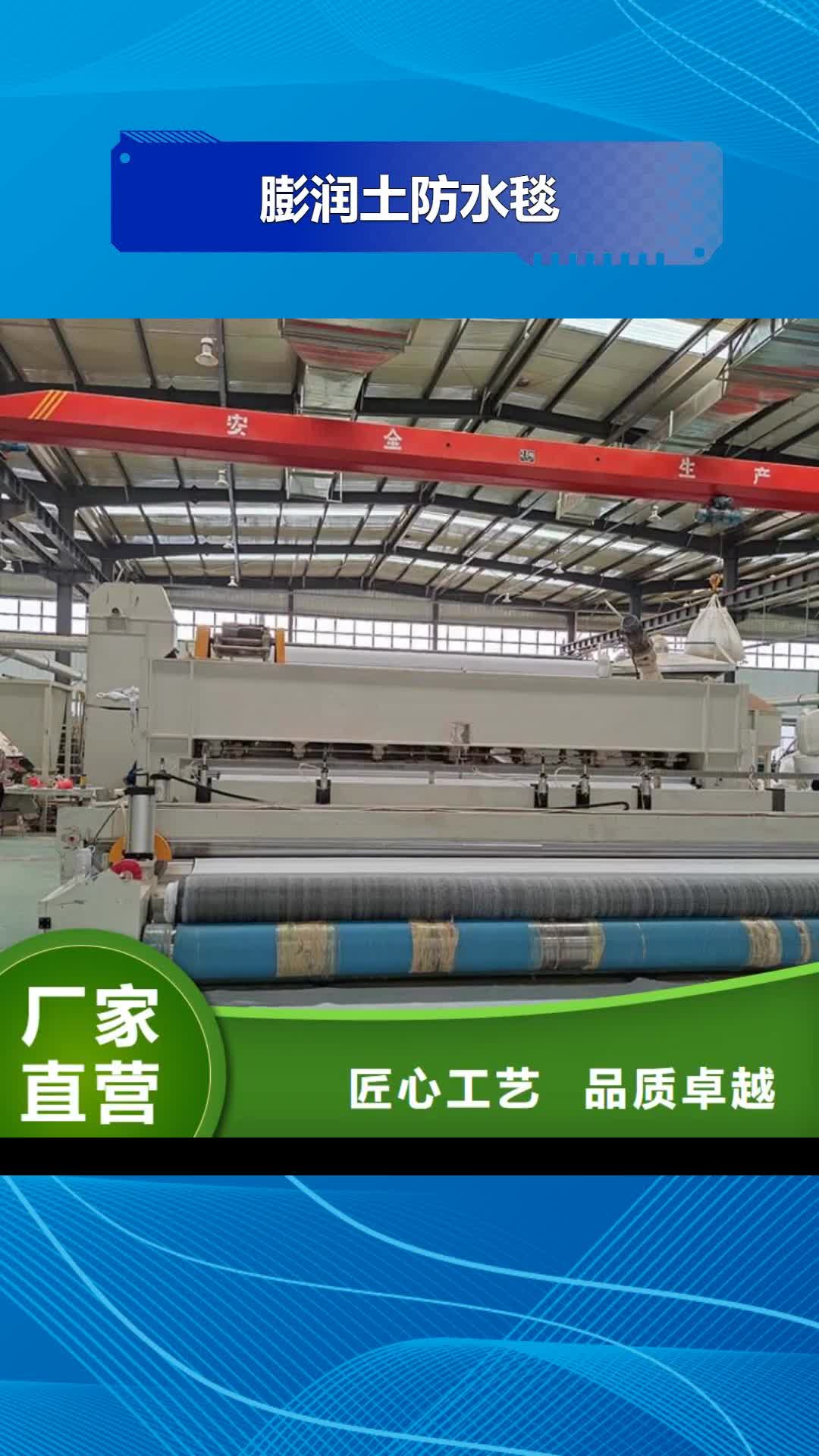 广元 膨润土防水毯,【土工膜】精致工艺