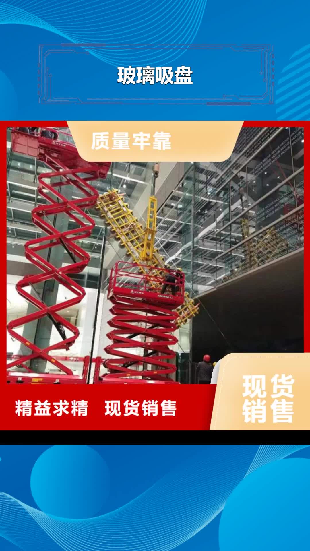 抚顺【玻璃吸盘】 宾馆传菜电梯质量牢靠