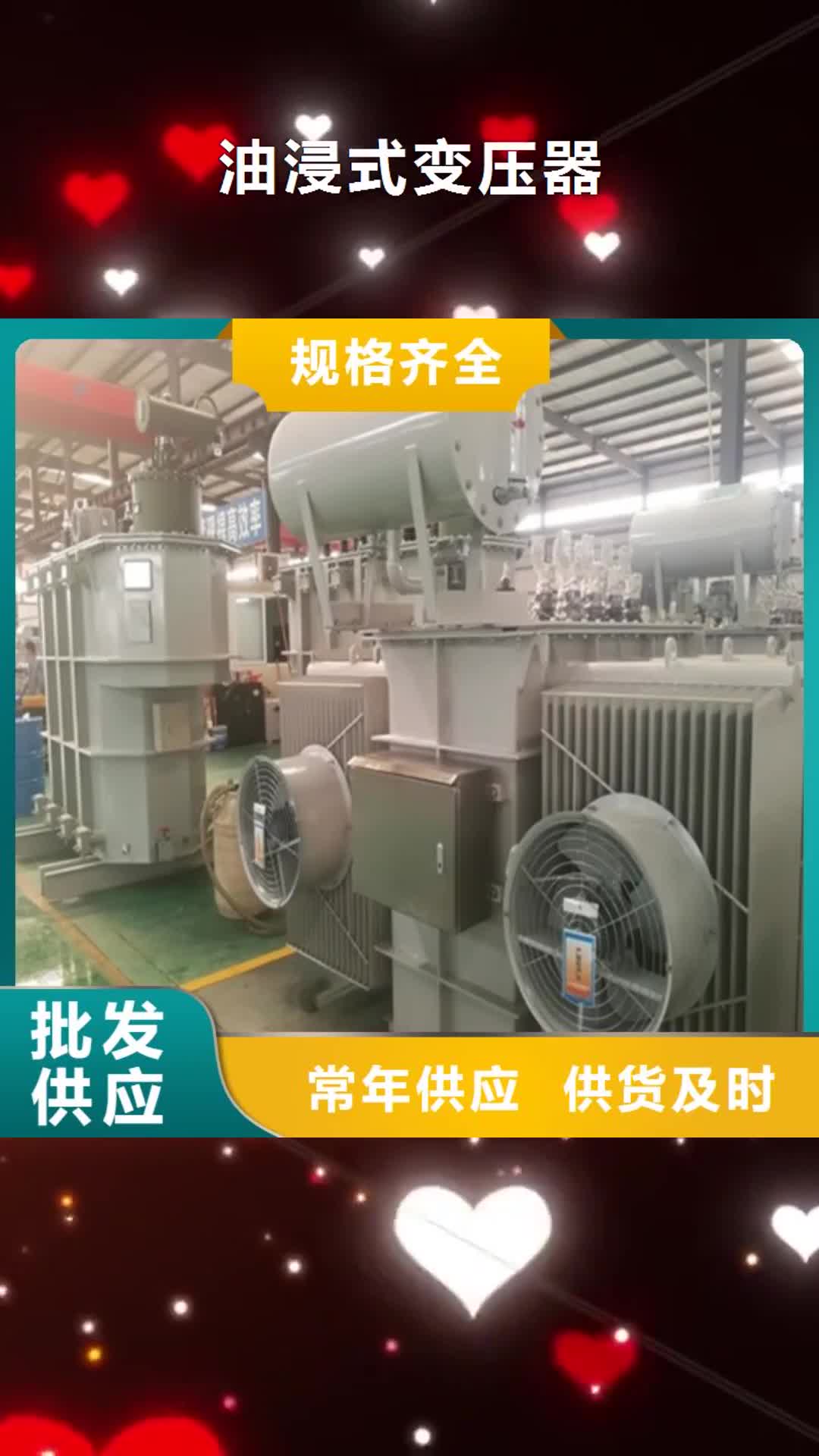 【杭州 油浸式变压器变压器厂品质做服务】