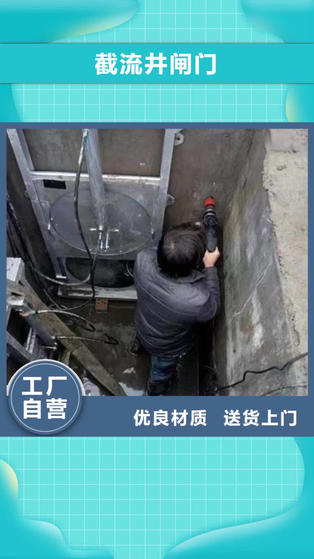 自贡【截流井闸门】 钢闸门核心技术