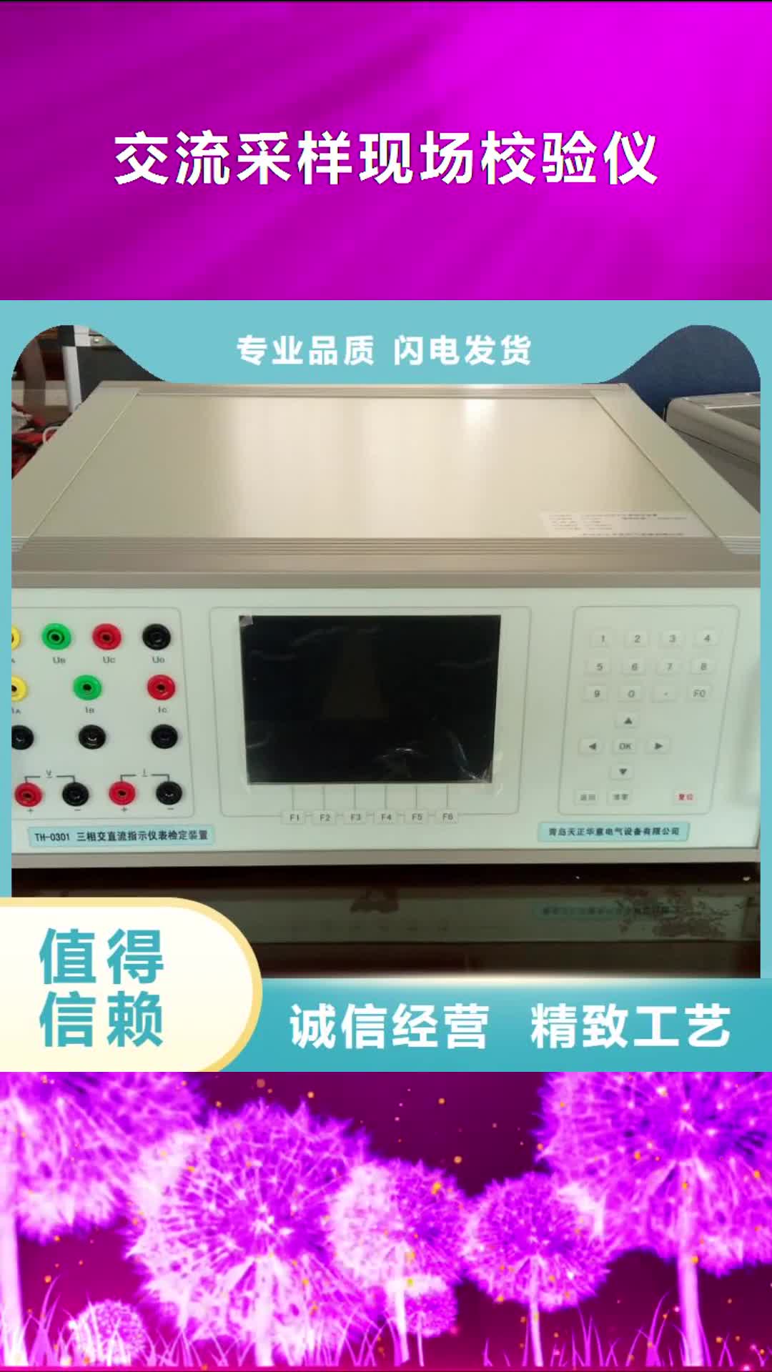 盐城【交流采样现场校验仪】 配电终端检测装置购买的是放心