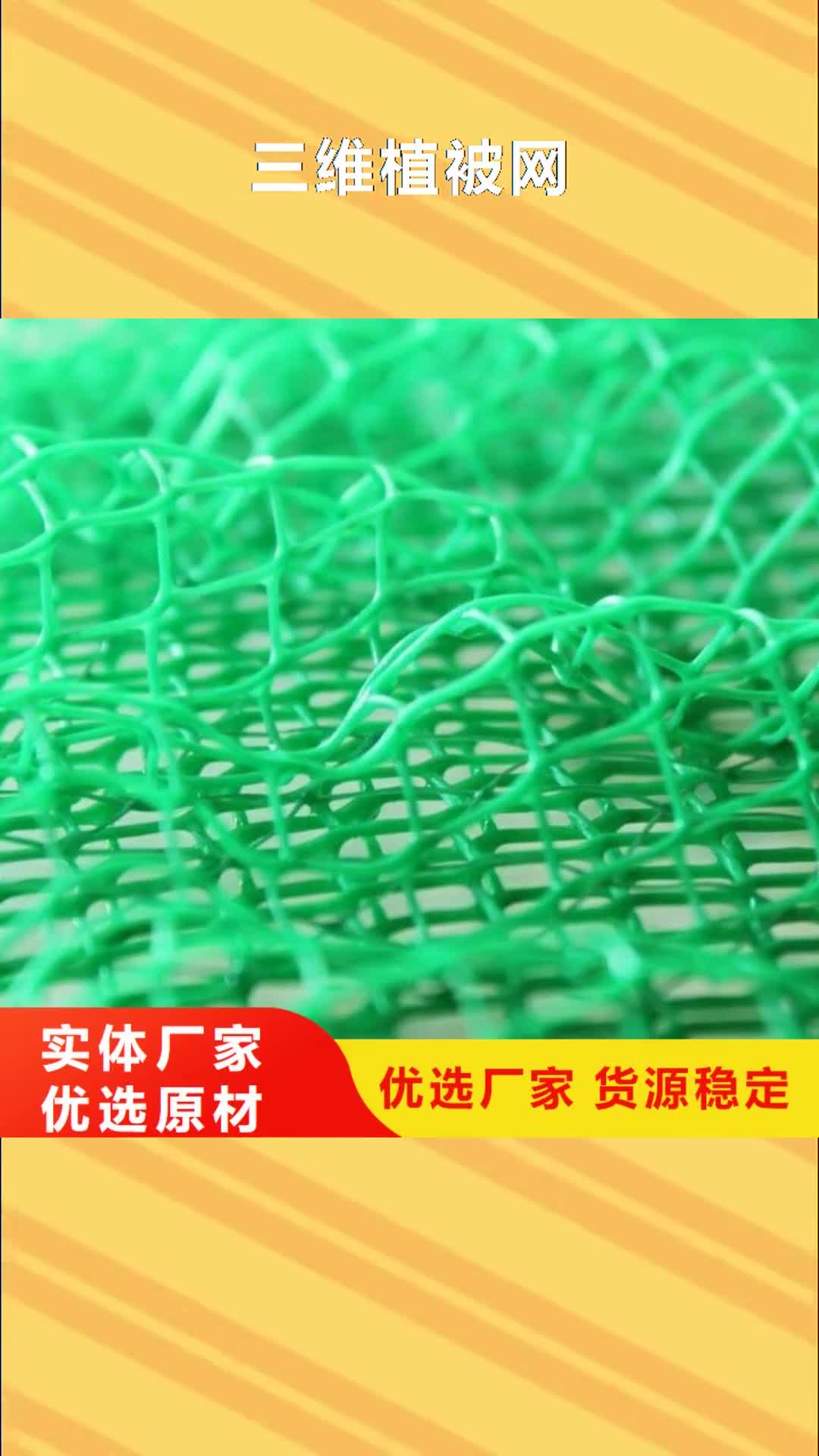 承德 三维植被网,【排水板】精选优质材料