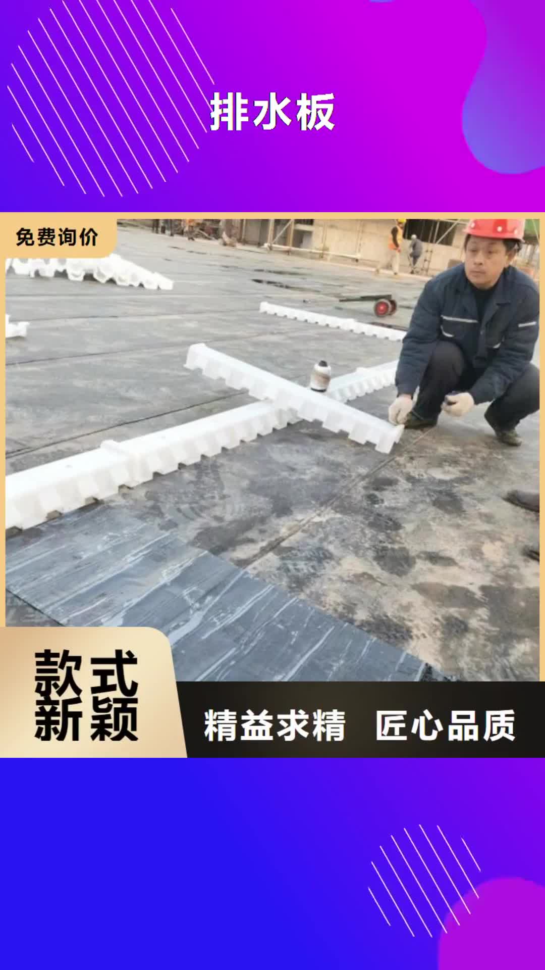 【莆田 排水板_塑料排水板好品质用的放心】