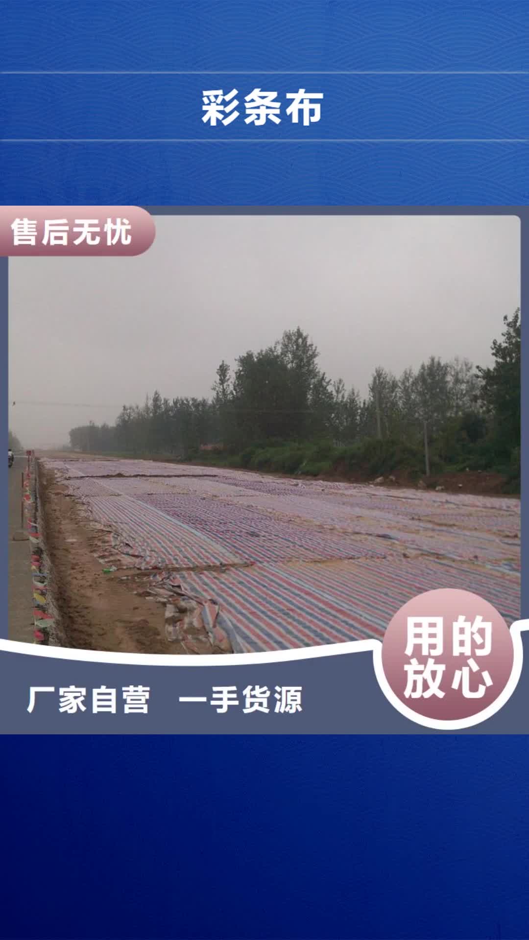 巴中 彩条布-【pe防雨布制造厂】实力才是硬道理