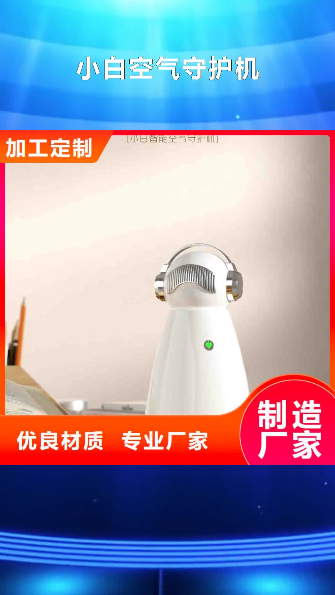 重庆 小白空气守护机-【空气守护】准时交付