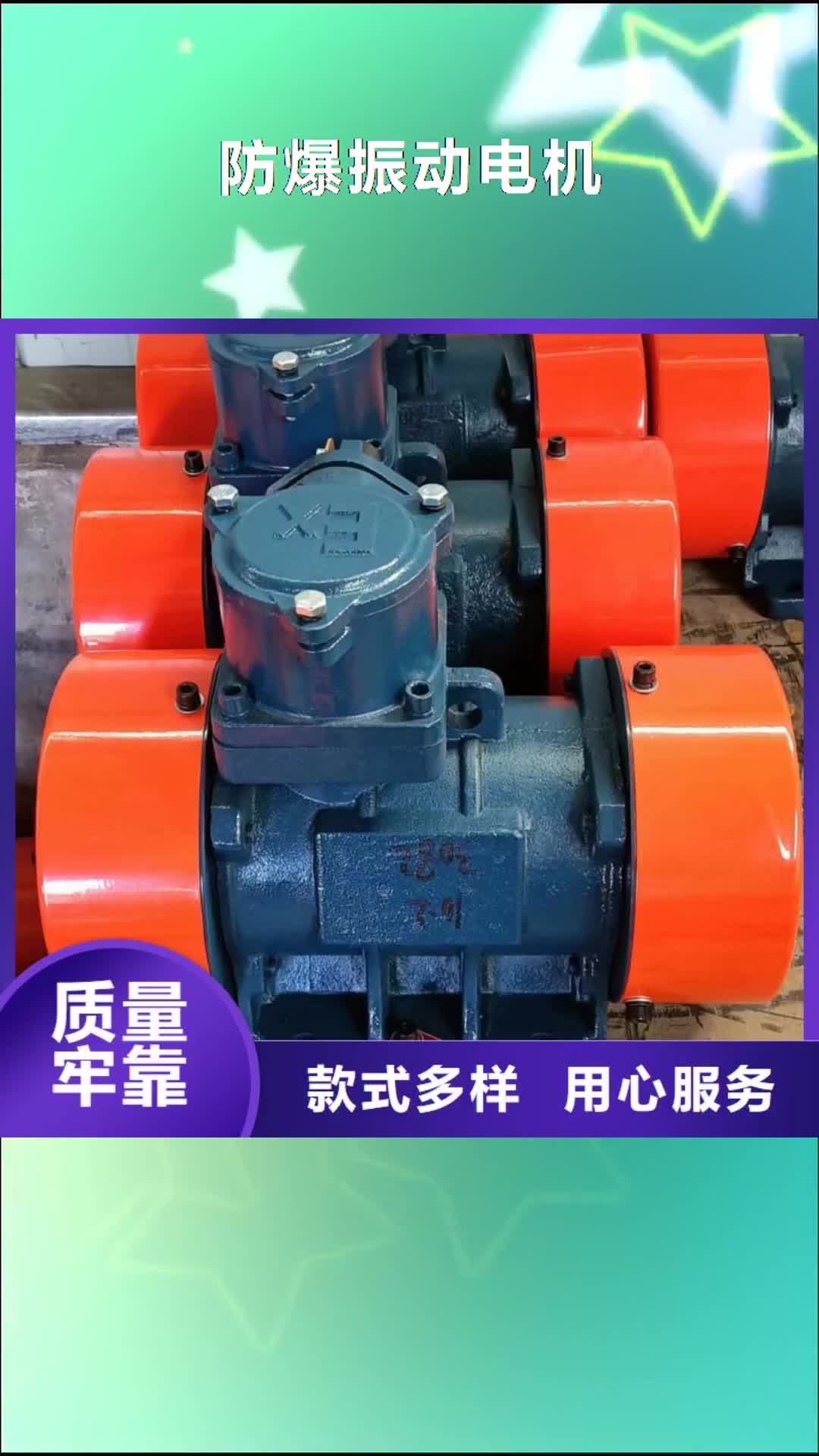 自贡 防爆振动电机,【振动电机厂家】材质实在