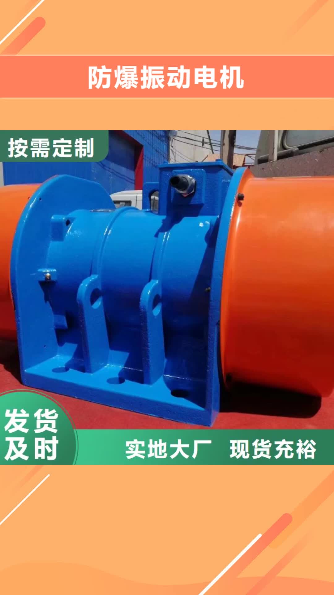 【西藏 防爆振动电机_振动给料机自主研发】