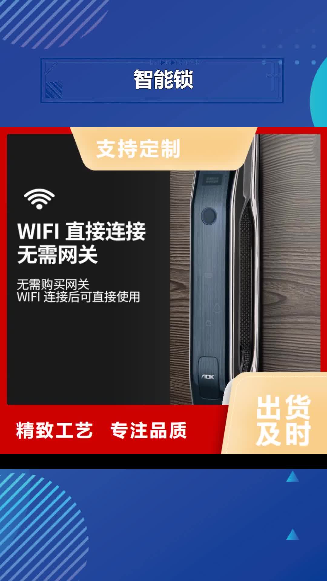 南通 智能锁厂家质量过硬