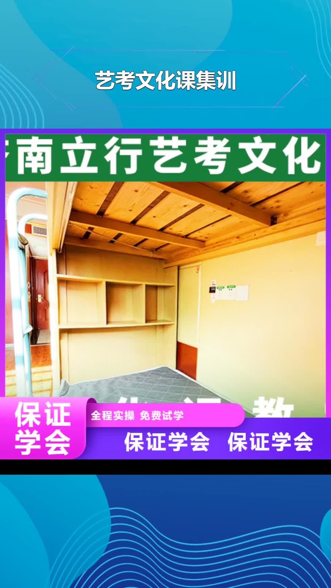 亳州 艺考文化课集训指导就业
