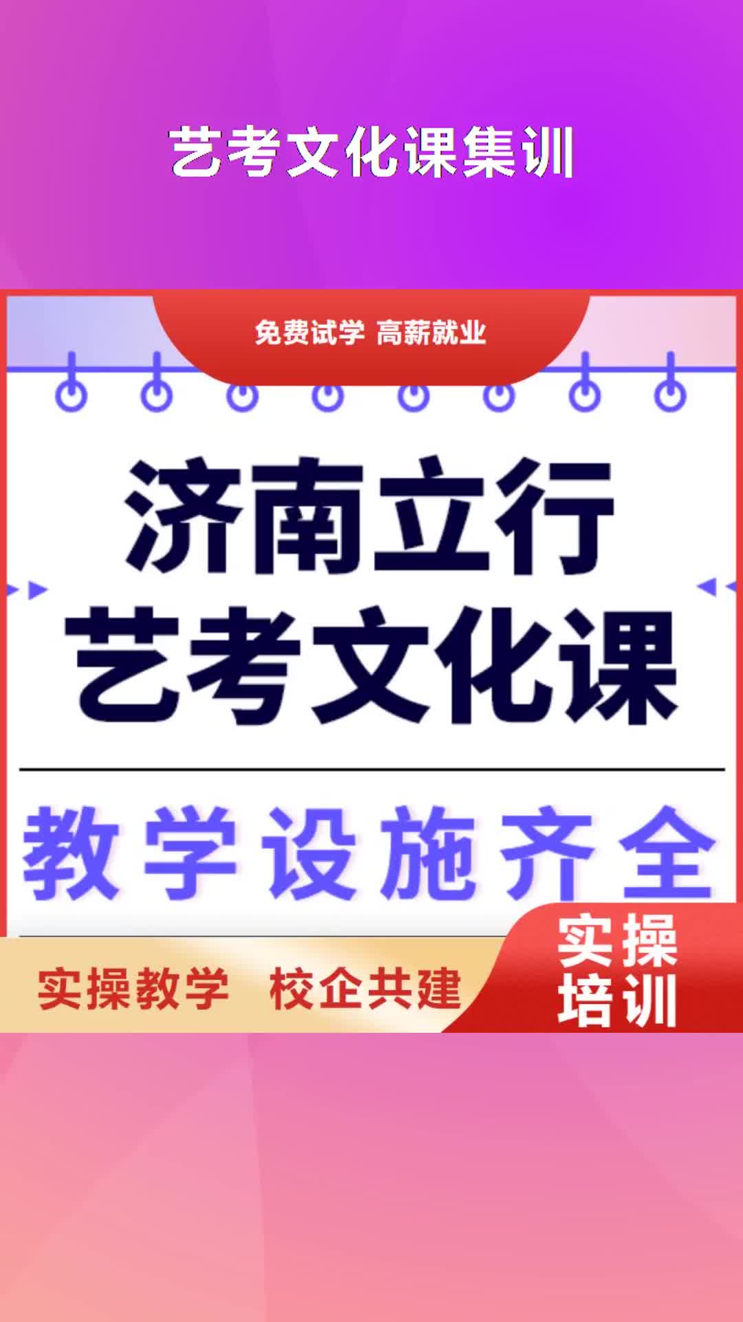 保定 艺考文化课集训技能+学历