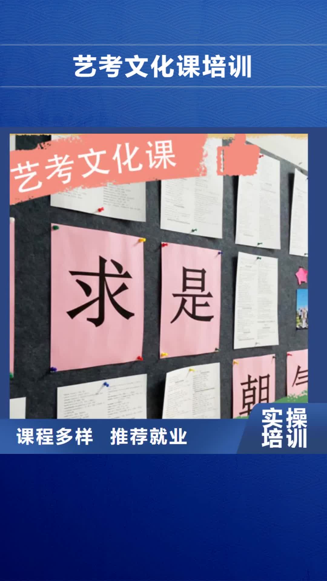 泰州 艺考文化课培训老师专业