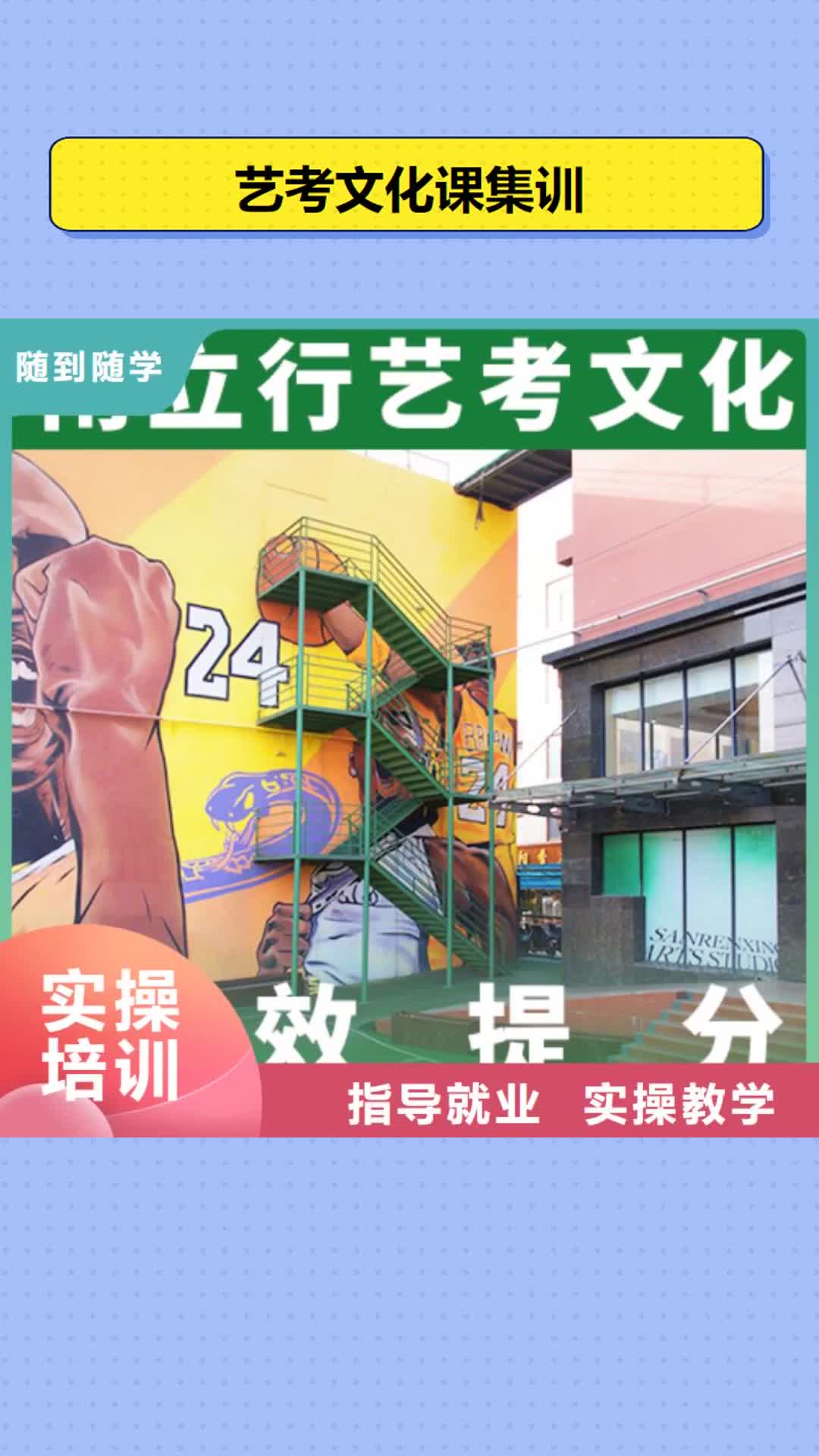 【黔西南 艺考文化课集训实操培训】