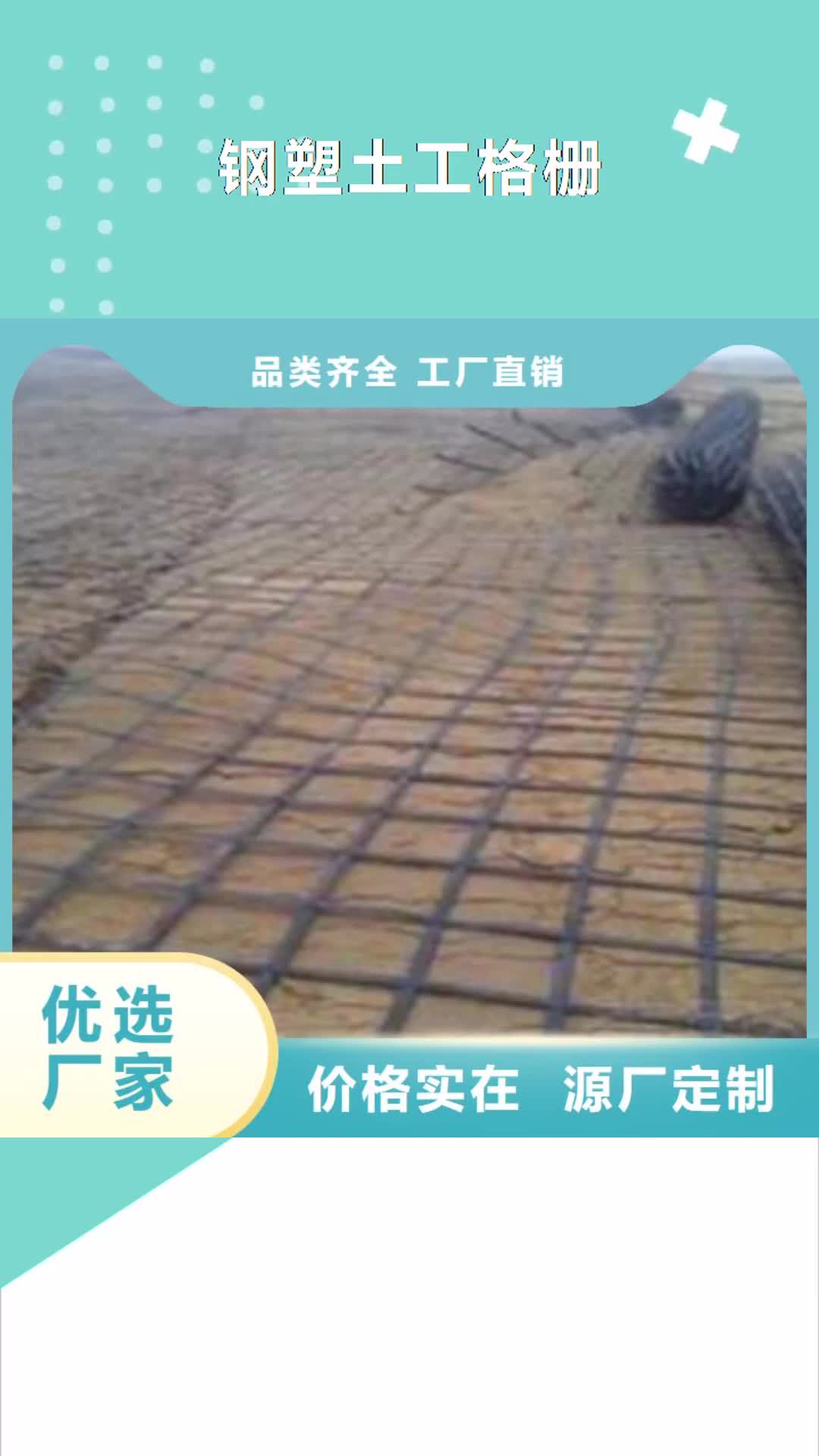 【内江 钢塑土工格栅_塑料排水板来电咨询】