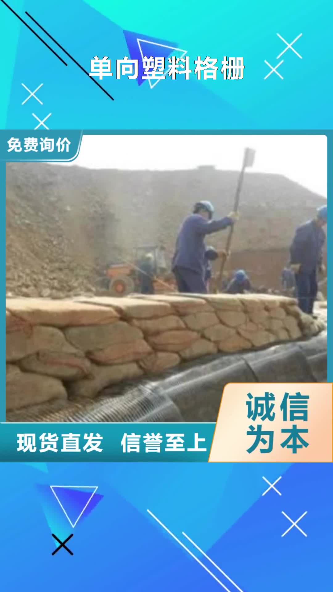 丽水 单向塑料格栅_【膨润土防水毯】质检合格发货
