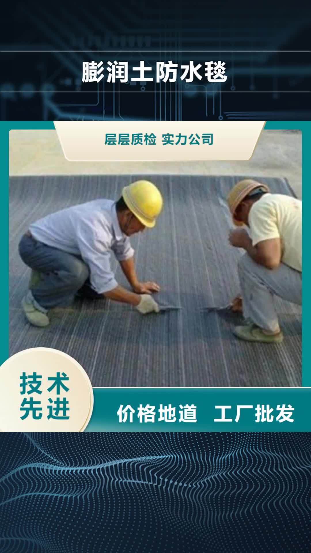 龙岩 膨润土防水毯_【玻纤土工格栅】出货及时