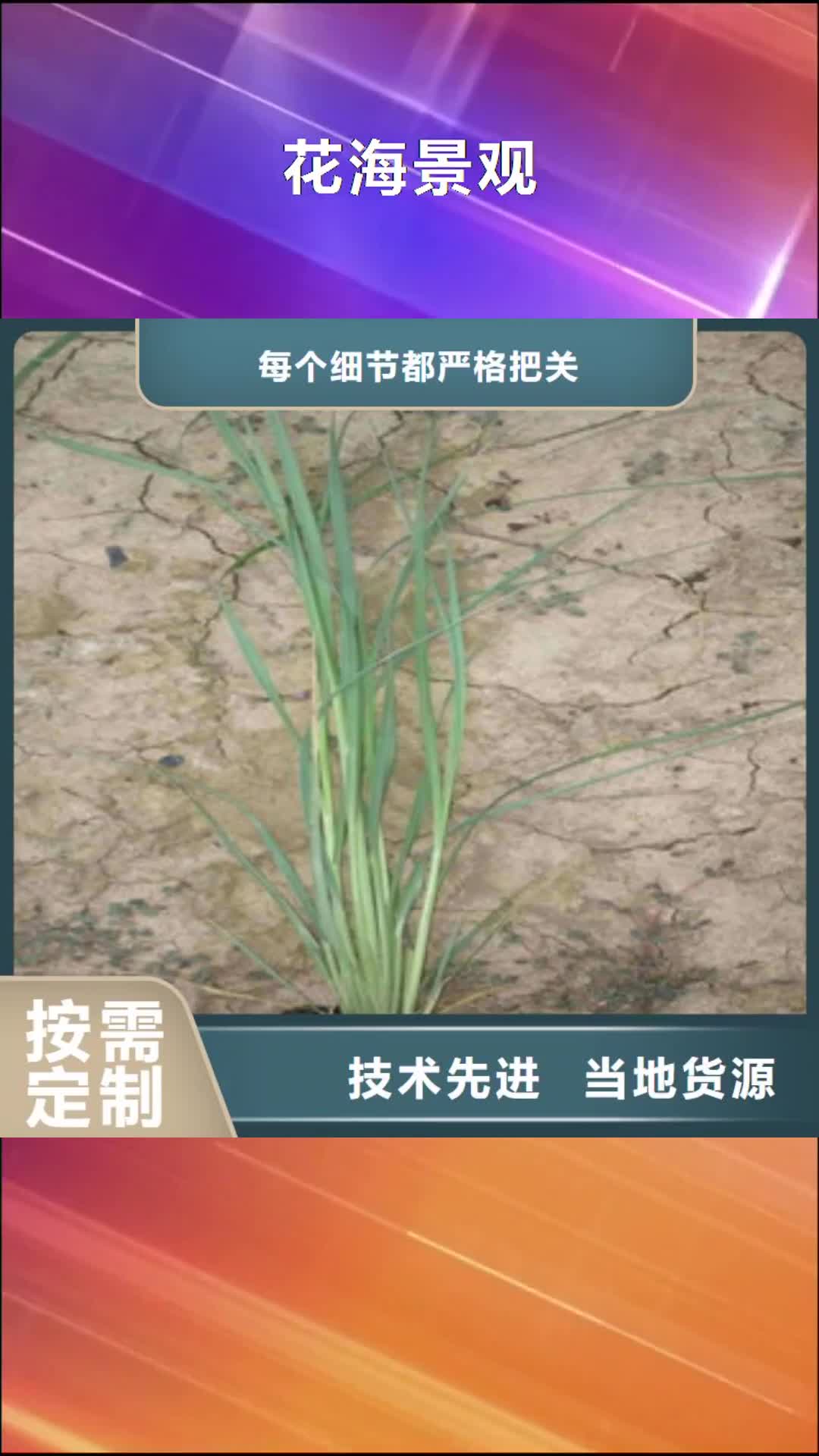 玉溪 花海景观,【花海景观工程】一站式采购商家