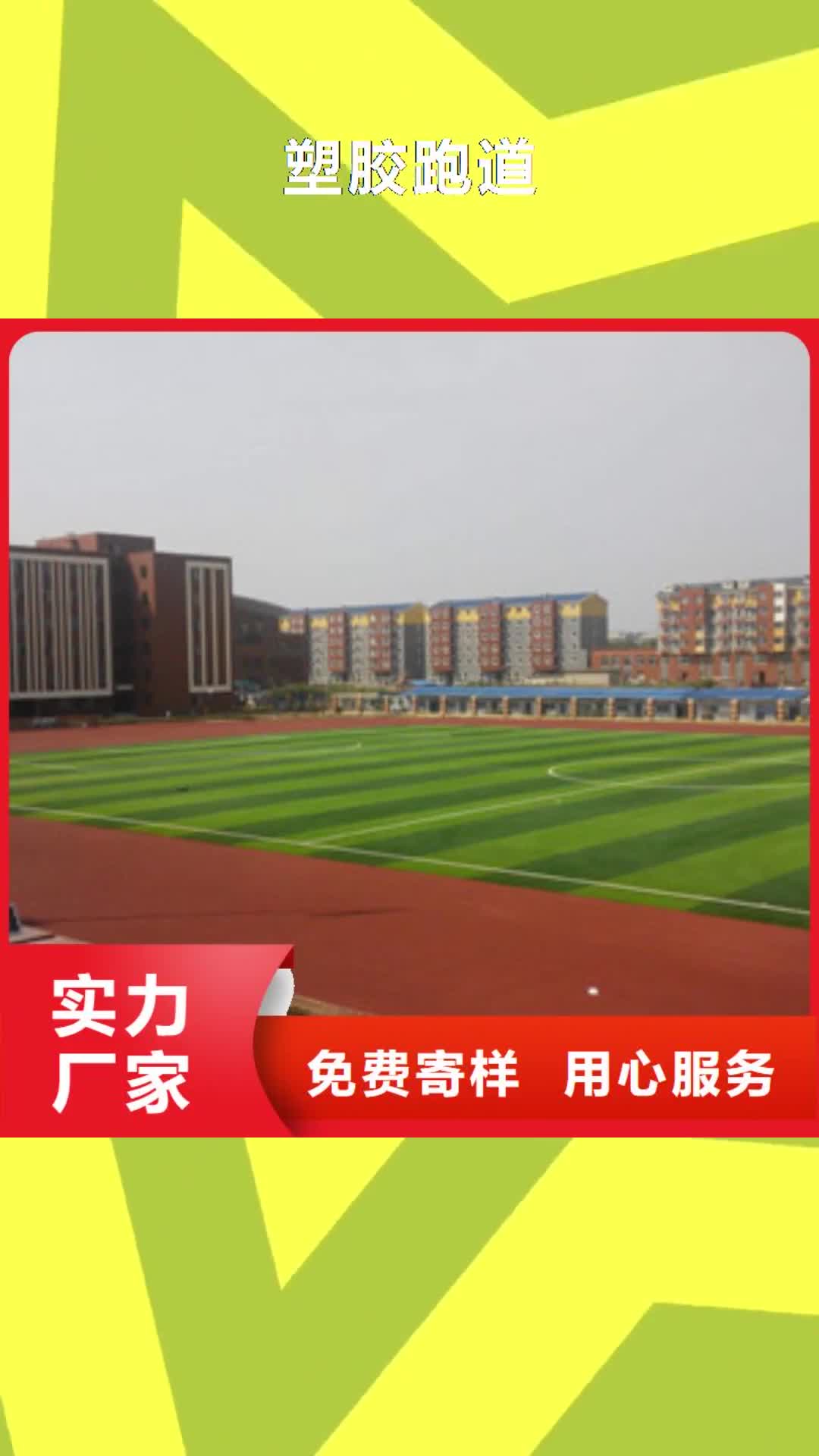 海南【塑胶跑道】_硅pu球场0中间商差价