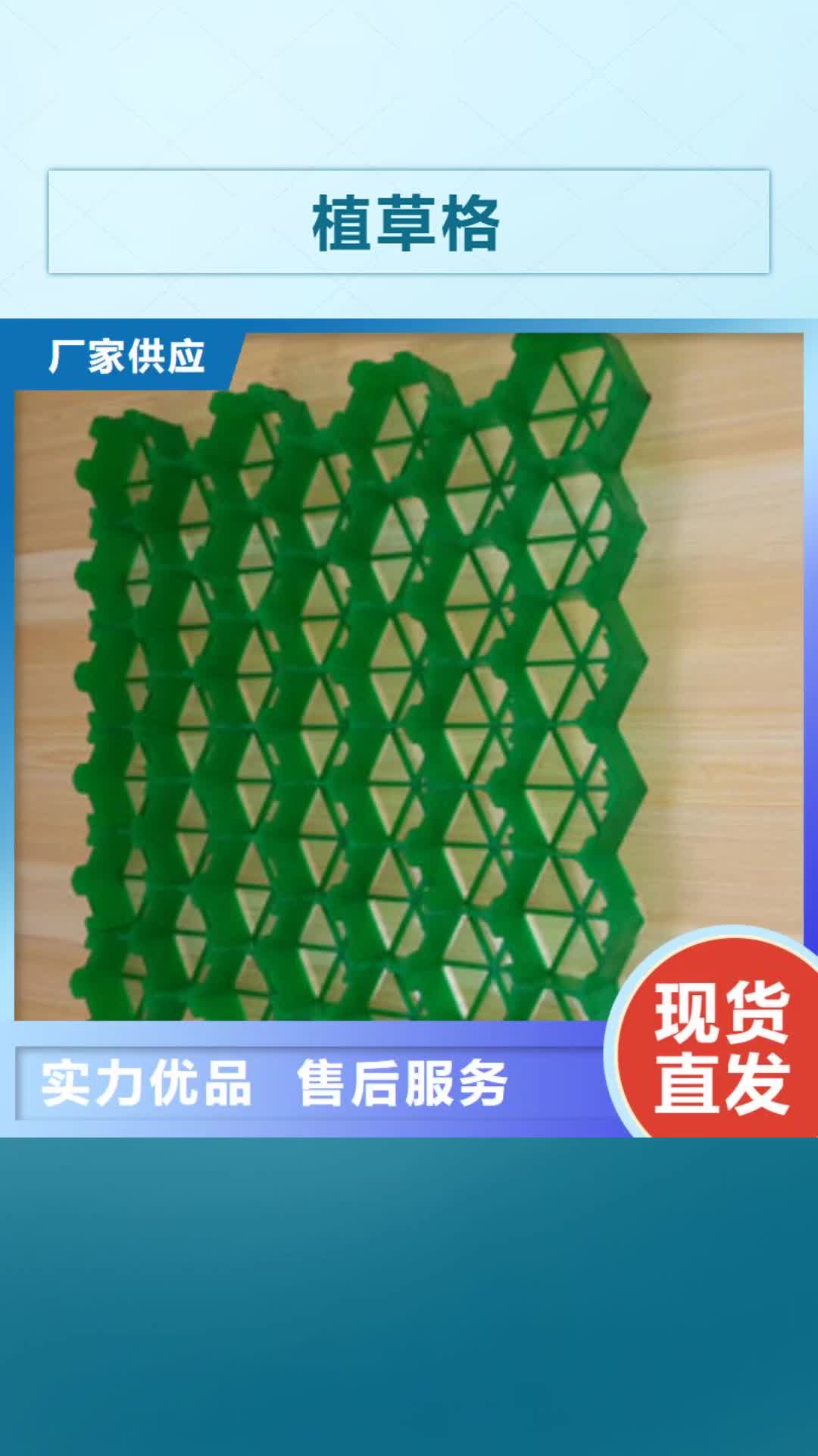 【临沧 植草格-蓄排水板厂家好品质经得住考验】