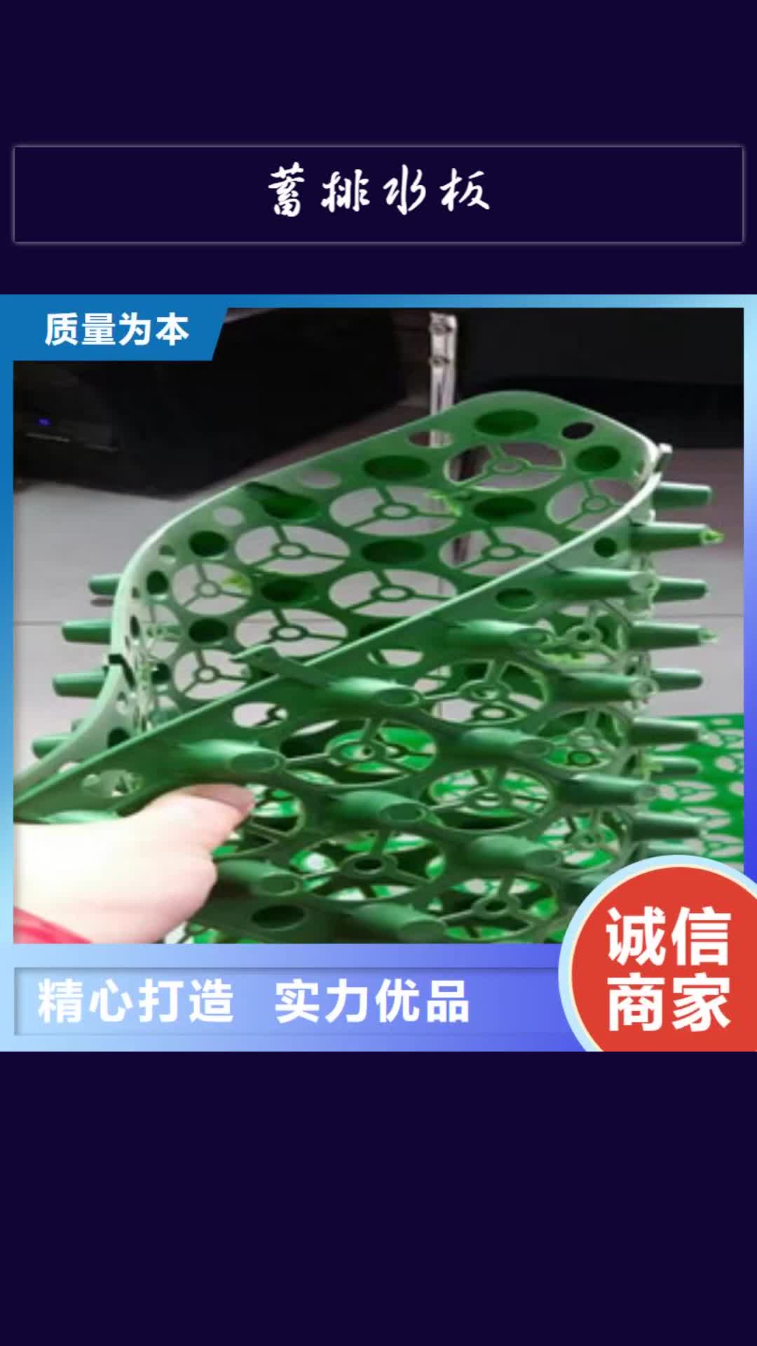 福建 蓄排水板,【植草格厂家】常年出售
